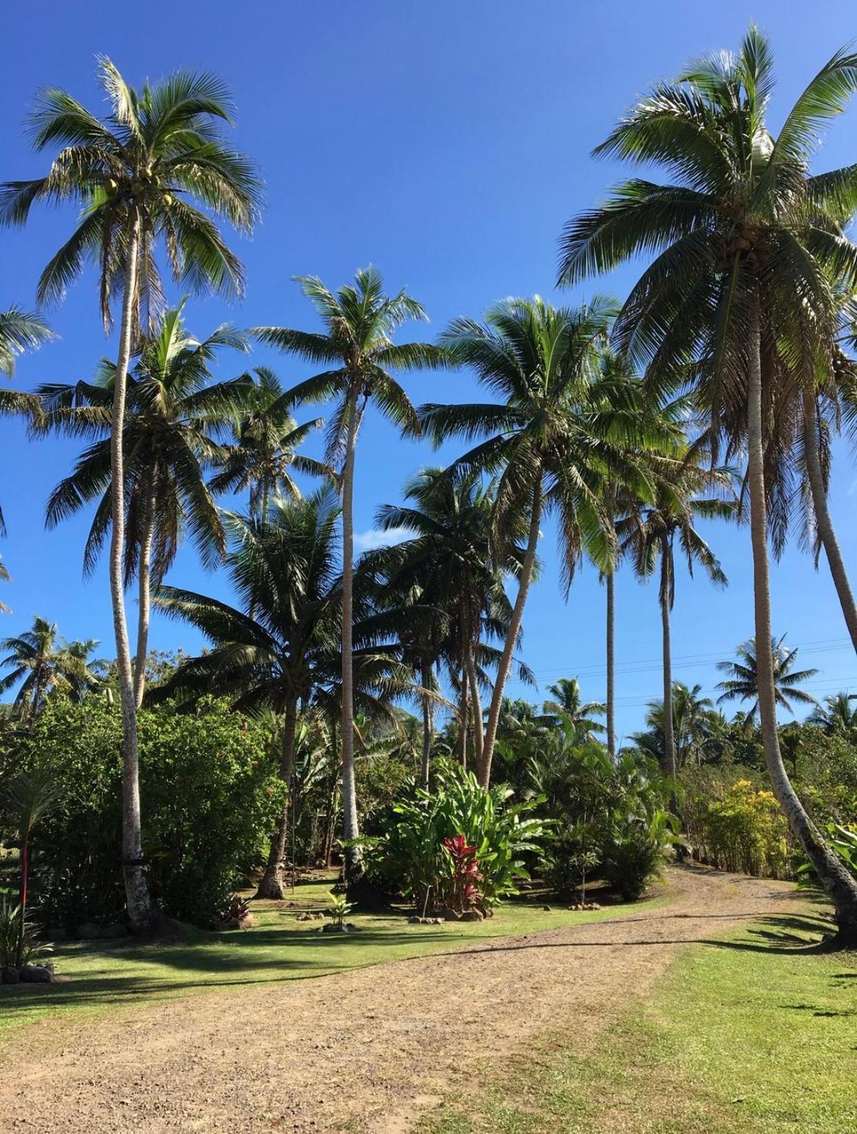 Island Breeze Fiji Βίλα Savusavu Δωμάτιο φωτογραφία